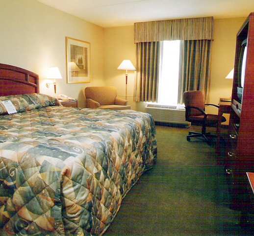 Hampton Inn & Suites By Hilton Windsor Room photo